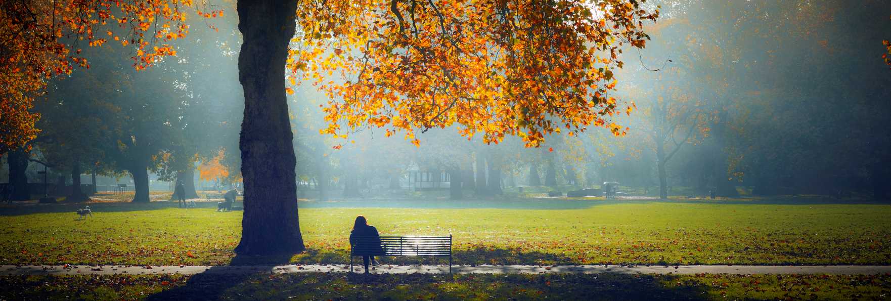 The Ultimate Guide To Visiting Kensington In Autumn